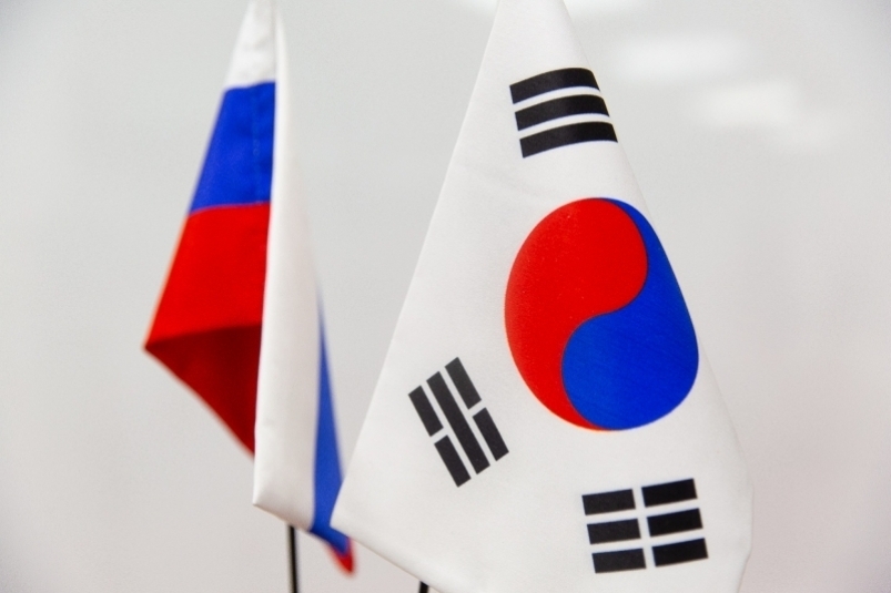 Korea/Корея Филлер на основе гиалуроновой кислоты - 1,1 мл (анестезия в подарок). — Контурная пластика в Казани